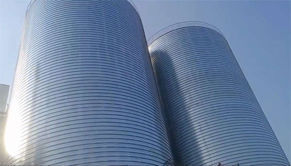 阳谷2座混凝土高架卷板仓